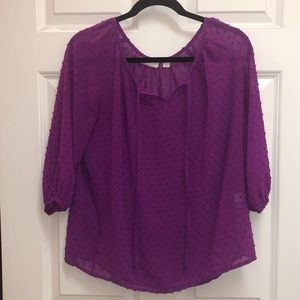 New York & Company Sheer Blouse